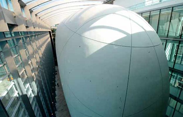 Ciencia y tecnología en Rtve.es - El huevo gigante de la evolución