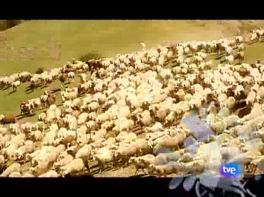 Saca la lengua - Animales y hombres