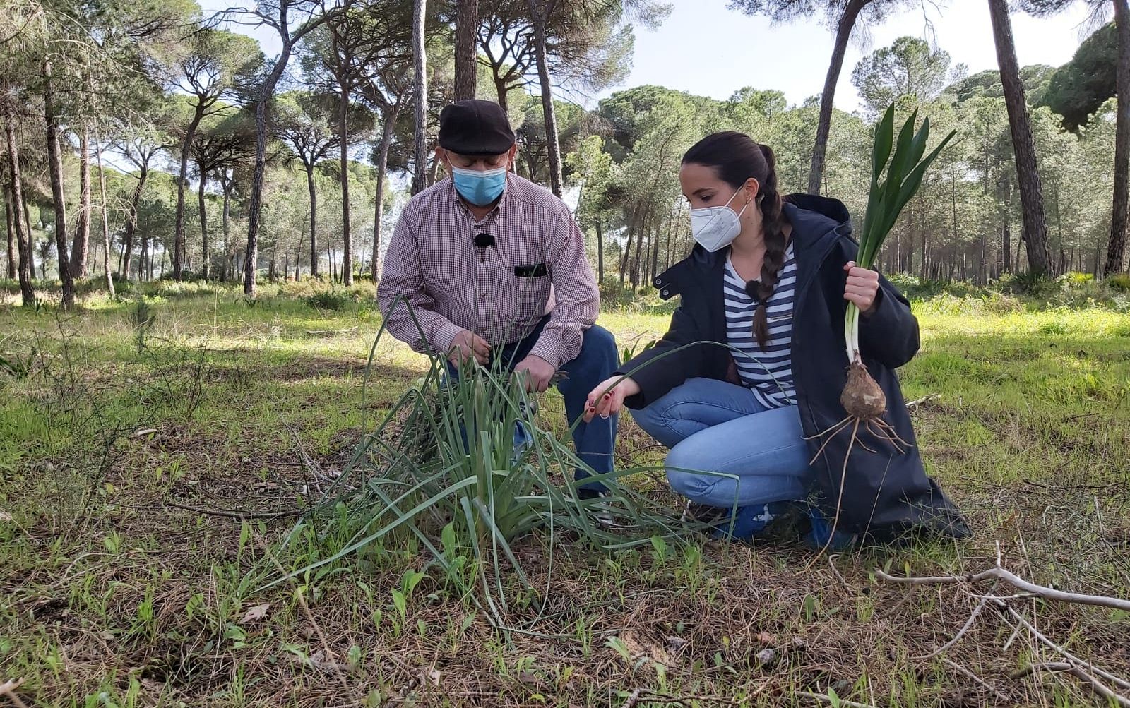 Aquí la Tierra - Botiquín de plantas medicinales: una farmacia de 24 horas
