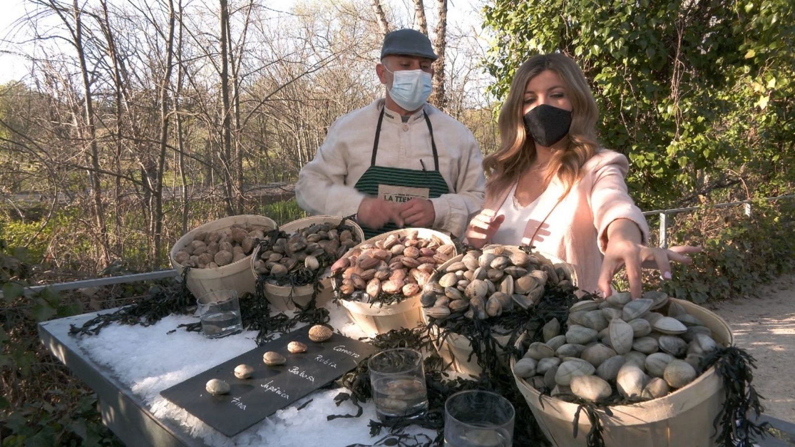Aquí la Tierra - ¿Qué variedades de almejas podemos encontrar en España?