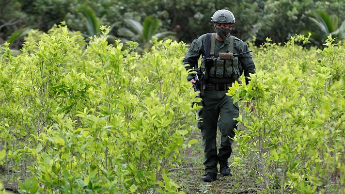 Telediario 1 - Colombia volverá a fumigar con avionetas las plantaciones de coca