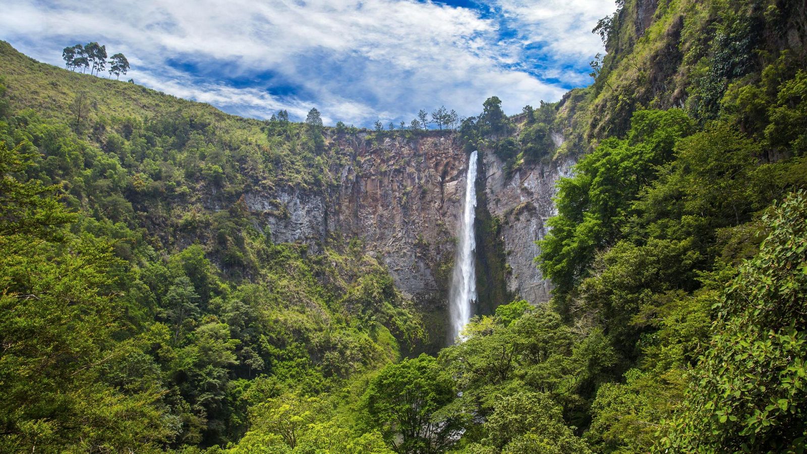 Descubrir - Sumatra - ver ahora