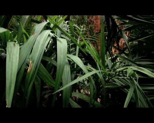 Fuera de lugar - Acústicos - Delinqüentes 'El Loro'