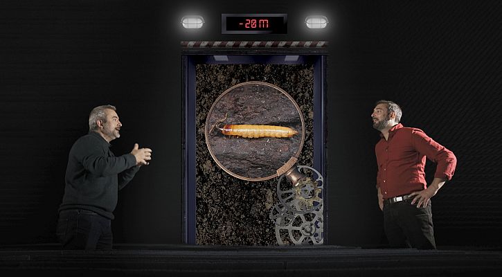 El cazador de cerebros - Microorganismos bajo el suelo La ciencia bajo nuestros pies