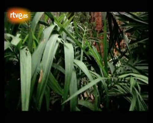 Fuera de lugar - Acústicos - Delinqüentes 'El Loro'