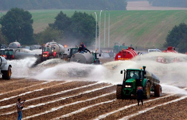  - Campos regados de leche