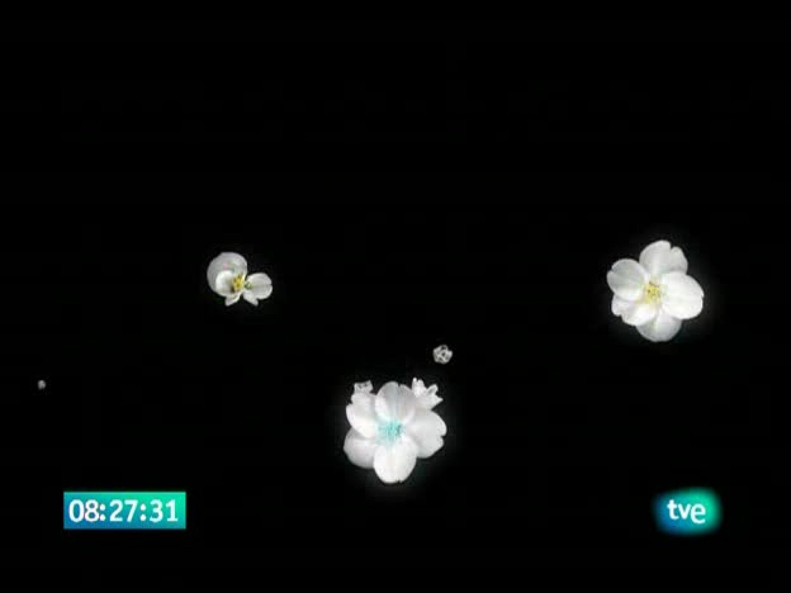 El jardín de los sueños - El Jardín de los Sueños | Ver