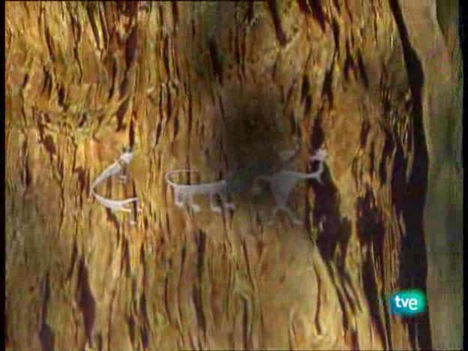 La ruta alternativa - Camino de Santiago - La ruta alternativa | Ver