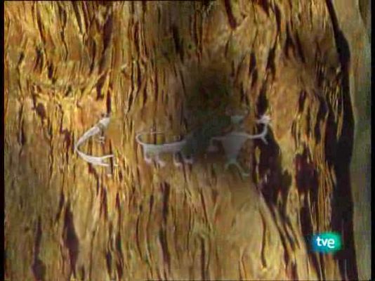 La ruta alternativa - La venganza de Favila