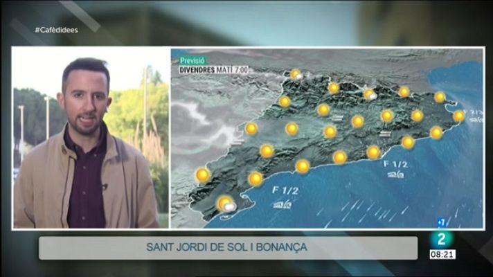 Cafè d'idees - El sol i la bonança, els aliats dels llibres i les roses