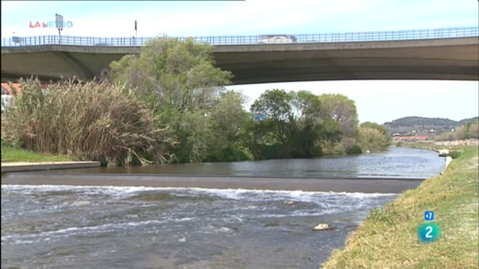 Expliquem els plans que hi ha per preservar i millorar la biodiversitat al riu Besòs