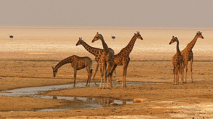 Sudáfrica (Documental) - En busca del agua