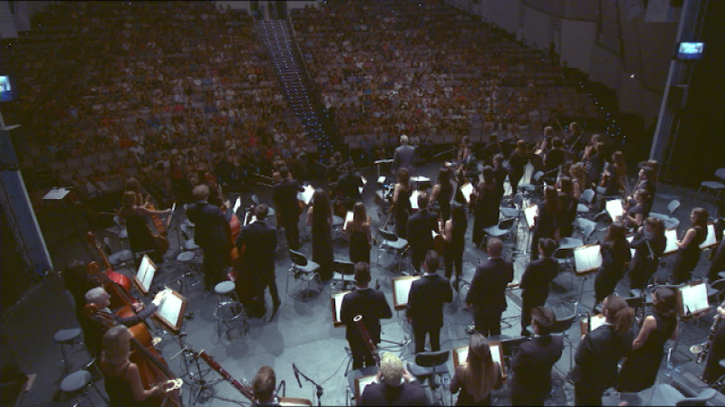 Campeones de la gran pantalla - 2019