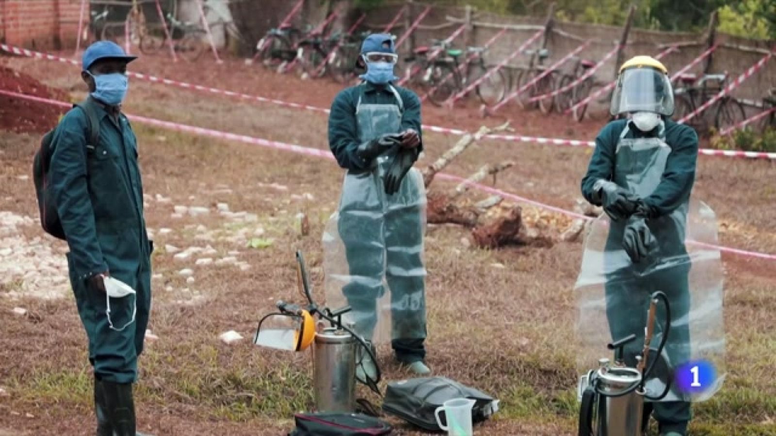 La malaria sigue siendo la principal causa de muerte en África subsahariana