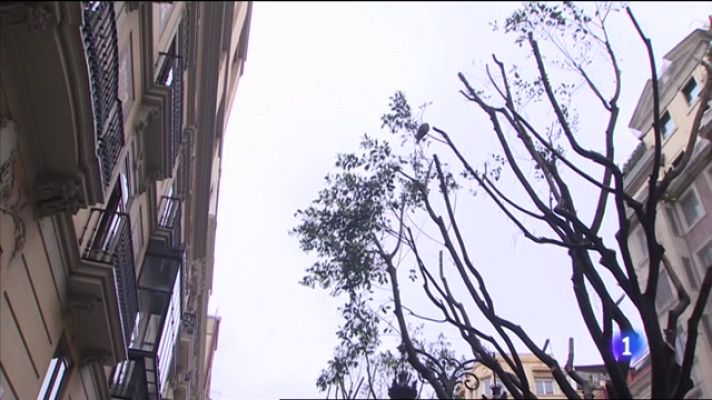 L'informatiu - Comunitat Valenciana - L'Informatiu Comunitat Valenciana 1 - 26/04/21