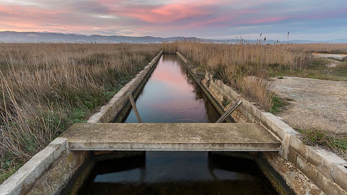 Telediario 1 - Cuatro mujeres han muerto en la Comunidad Valenciana, por estrangulamiento o asfixia, en los últimos seis meses