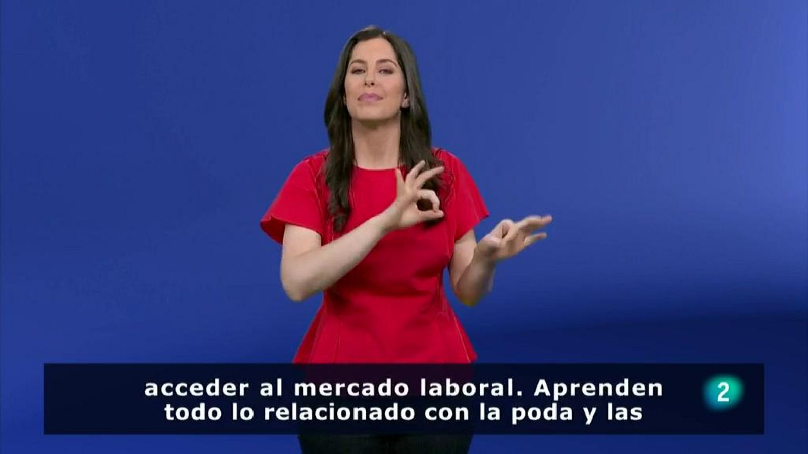 En Lengua de Signos "Sinergias" hacia la inclusión laboral -ver ahora