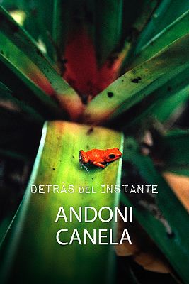 Detrás del instante - Andoni Canela