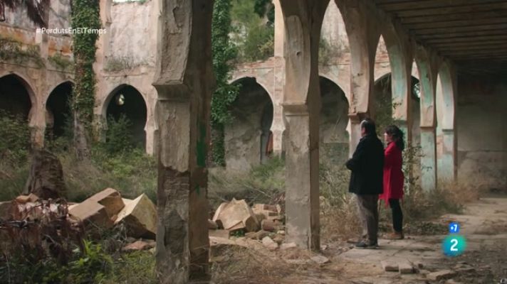 Perduts en el temps - La pandèmia de les vinyes