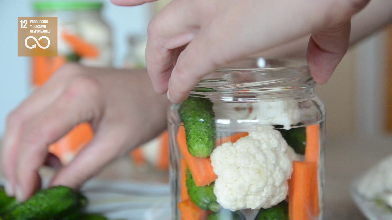 CAMPAÑA 'RECICLAJE' - Reduce el uso de plásticos - El mes de... | Ver