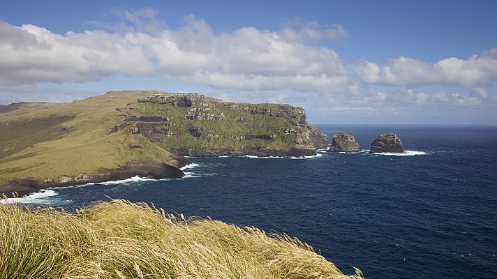 Somos Documentales - Gigantes de la isla salvaje