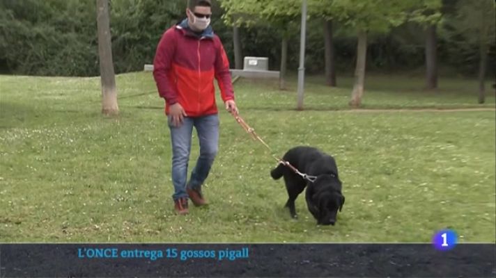 L'Informatiu - L'Informatiu 2 - 28/04/2021