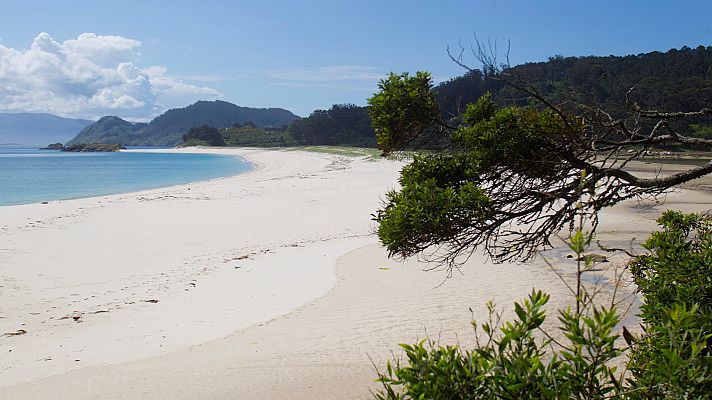 Telediario 1 - Día Internacional del Ruido: ¿Cuáles son nuestros sonidos preferidos?