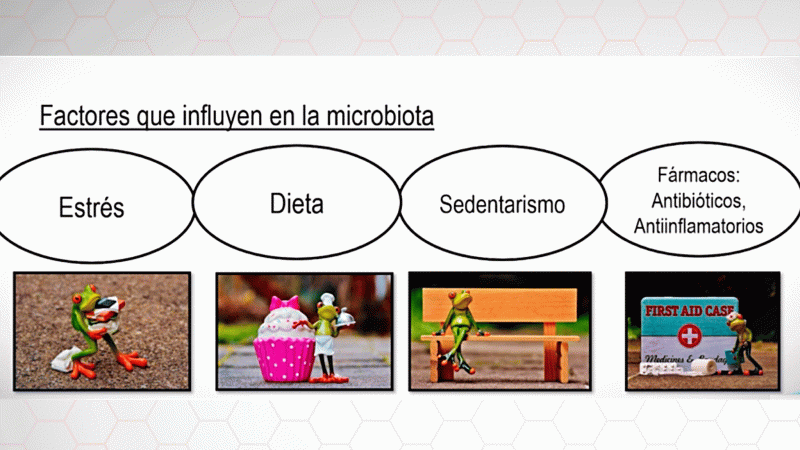 La aventura del saber - ¿Qué es la microbiota?