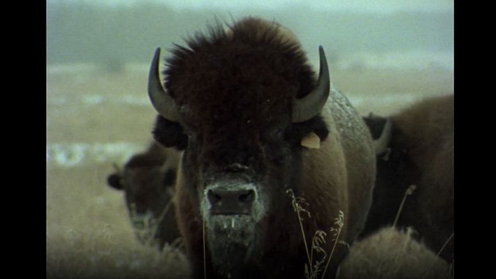 El hombre y la Tierra - Aventura en Canadá