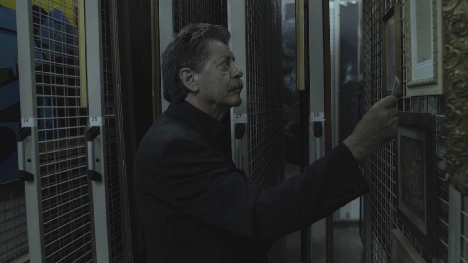 Guardianes del Patrimonio - Operación Sagún - ver ahora