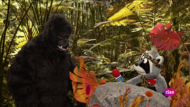 Aprendemos en Clan - 'Está mapachando' - Diane Fossey y mucho más - RTVE.es - Aprendemos en Clan | Ver