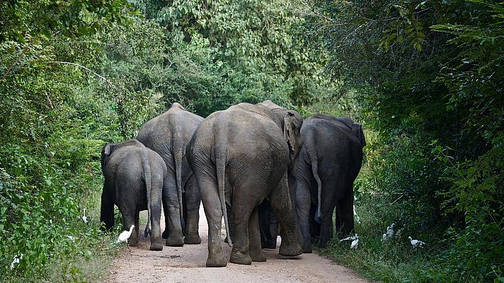 La noche temática - Marfil, la historia de un crimen