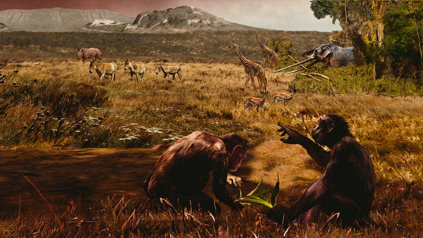 Somos documentales - Una nueva versión de la evolución humana - ver ahora