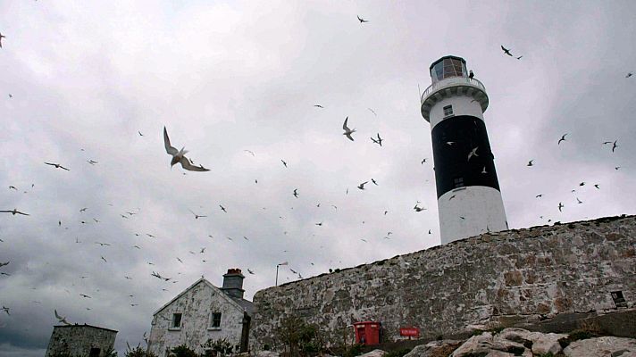 El escarabajo verde - Al borde del abismo: Episodio 1