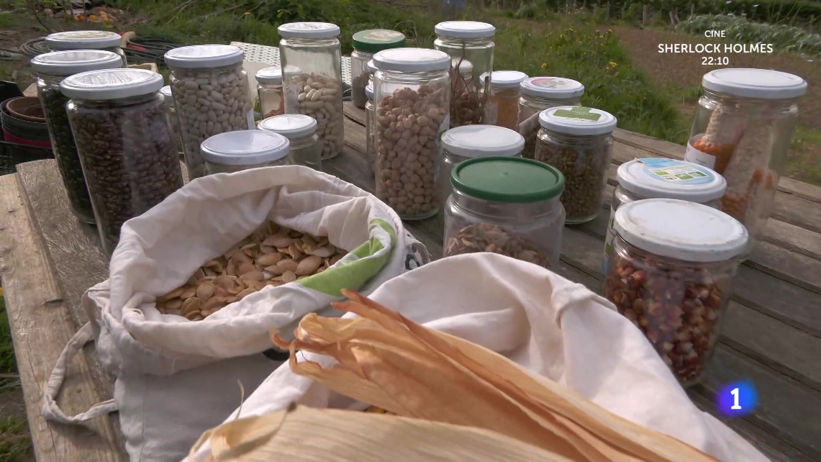 Aquí la Tierra - ¿Para qué sirve un banco de semillas?