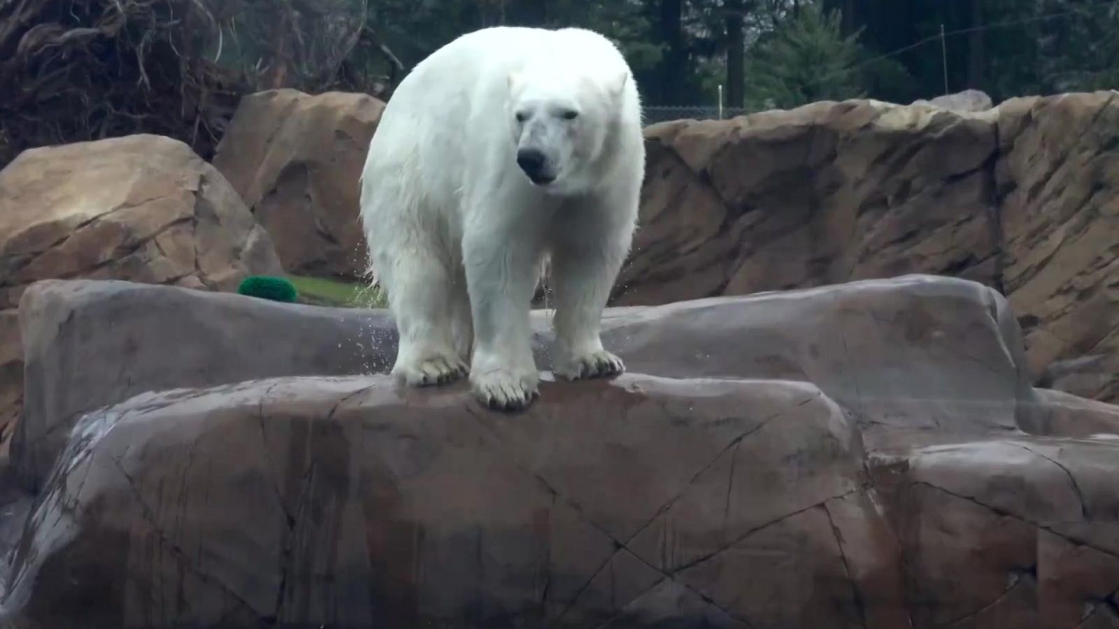 Aquí la Tierra - 02/05/21 - ver ahora