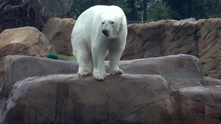 Aquí la Tierra - Aquí la Tierra - 02/05/21