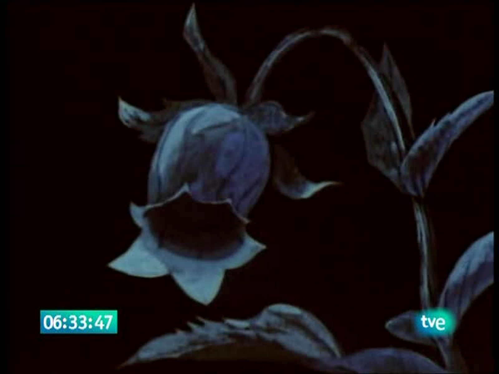 La abeja Maya - La Abeja Maya | Ver