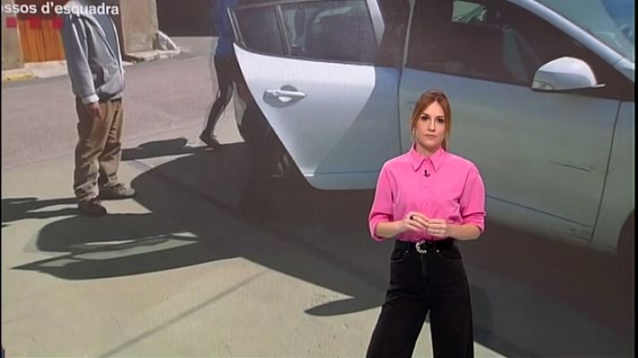 En Línia - Les sectes, l'astènia primaveral i els gossos perillosos