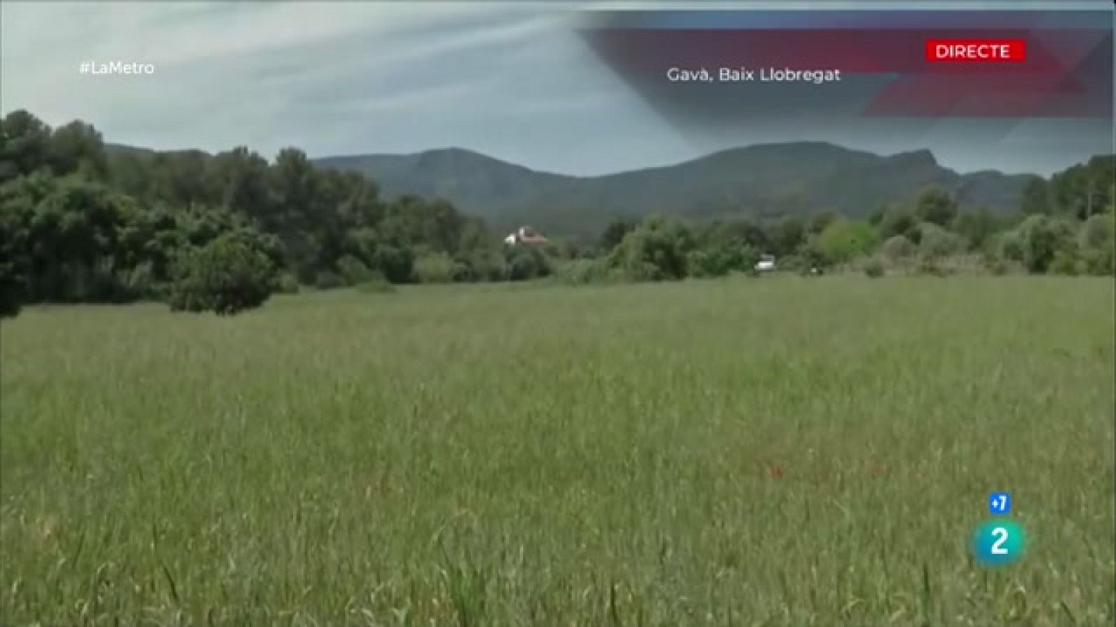 Parlem del projecte d'urbanització del Pla de Ponent de Gavà i de l'oposició de veïns i entitat ecologistes que s'han unit en la plataforma Salvem el Calamot-Aturem el pla de Ponent