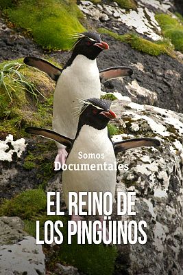Somos Documentales - El reino de los pingüinos
