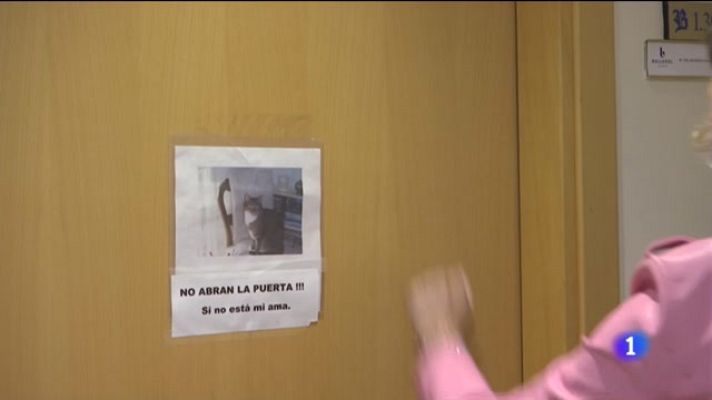 Noticias Andalucía - Ancianos de una residencia de Almería recorren la ciudad en tren turístico