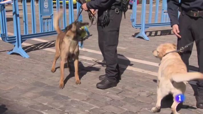 Telenavarra - Unidad canina de Policía Municipal de Pamplona