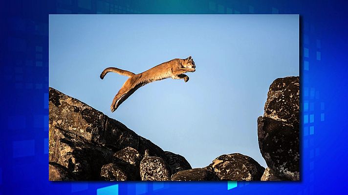 Saber y ganar - Saber y ganar - 11/05/21