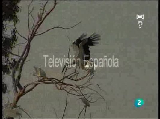 Guardianes de hábitat - Espacios proscritos