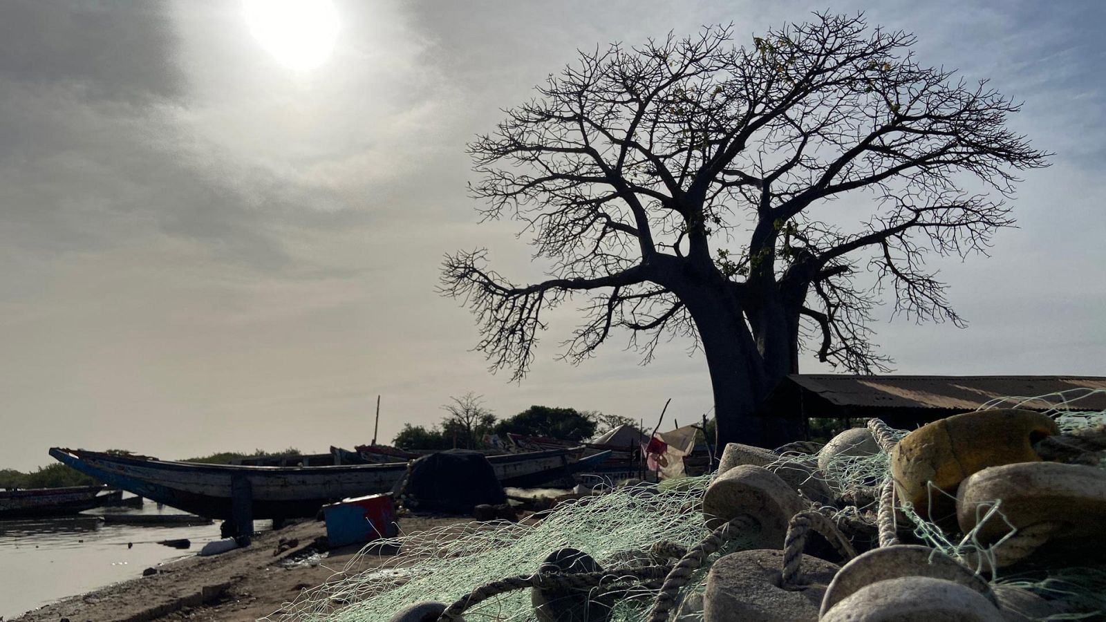 Atlántico - El vuelo de los pelícanos - ver ahora