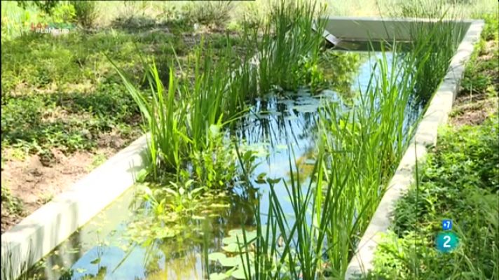 La Metro - Natura a la trama urbana de Barcelona