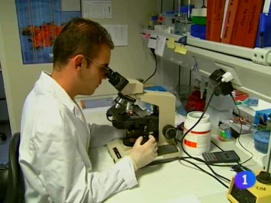 Telenavarra - Telenavarra - 21/09/09