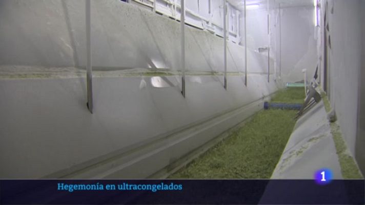 Telenavarra - Ultracongelados en Navarra