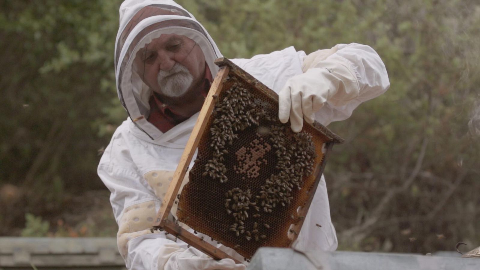 Ruralitas - Valle Salado de Añana (Álava) y Las Hurdes (Cáceres) - ver ahora